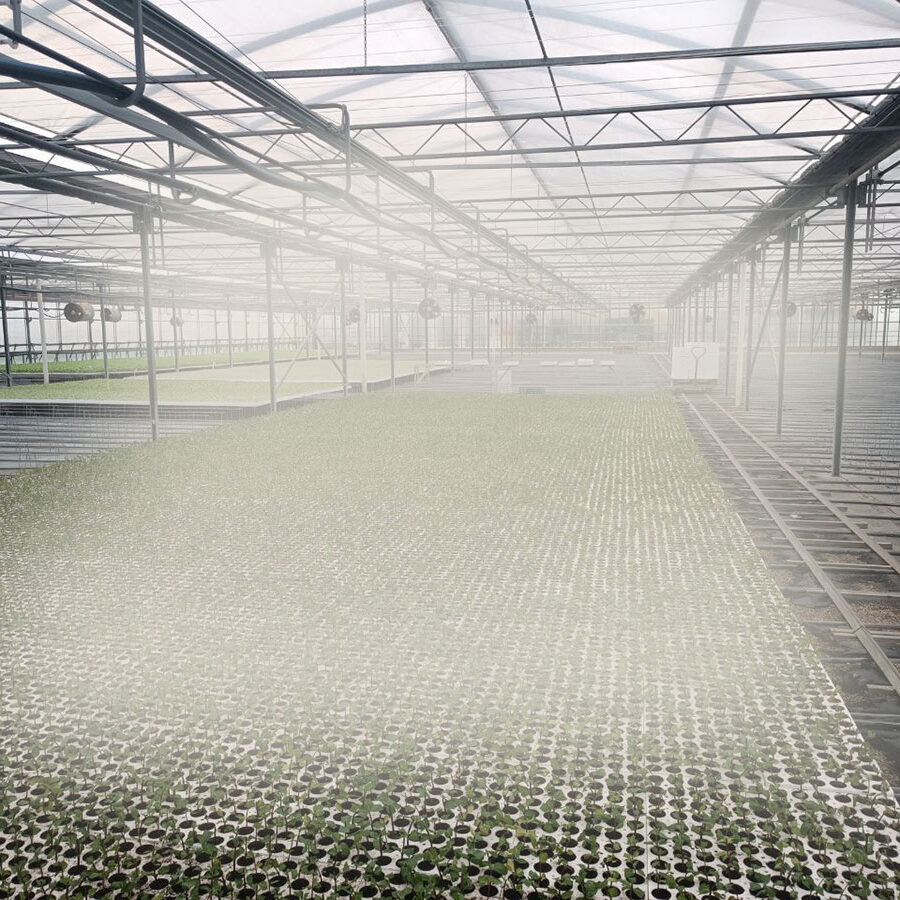 Umidificazione serre