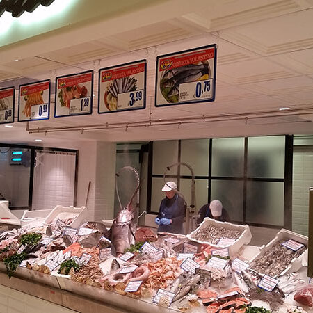 Sistema di umidificazione banco del pesce