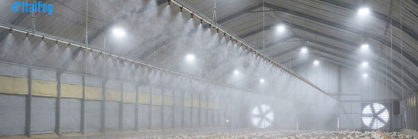 Nebulizzazione negli allevamenti avicoli