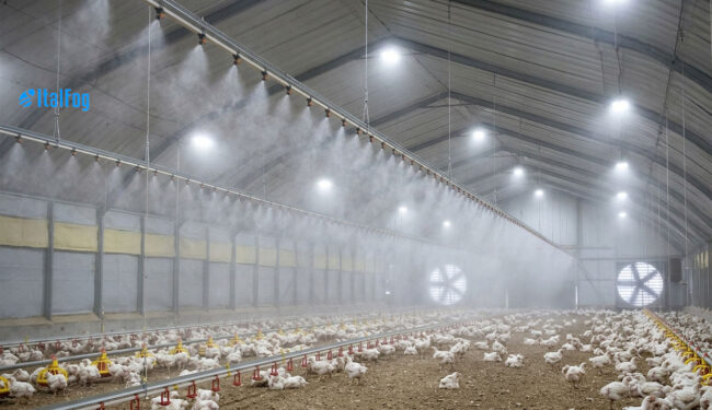 Nebulizzazione negli allevamenti avicoli