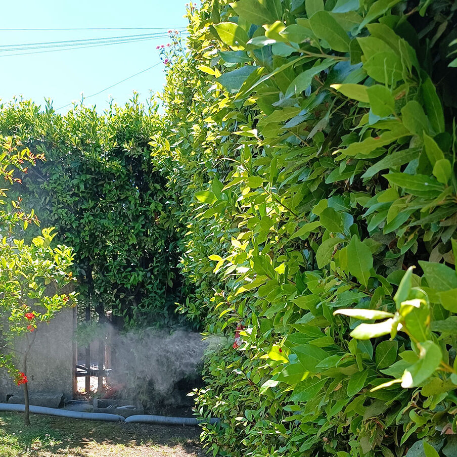 Itamosquito - Residential