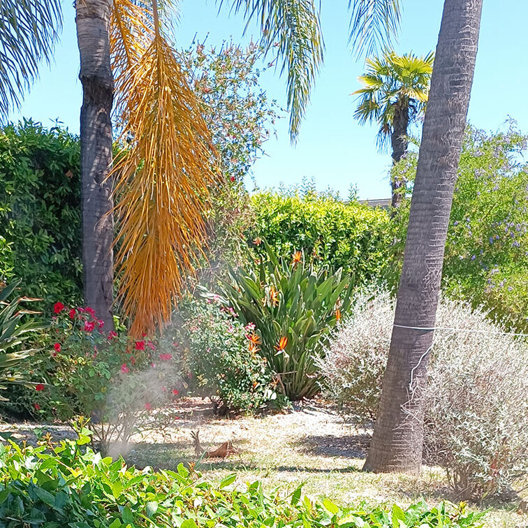 Itamomosquito system